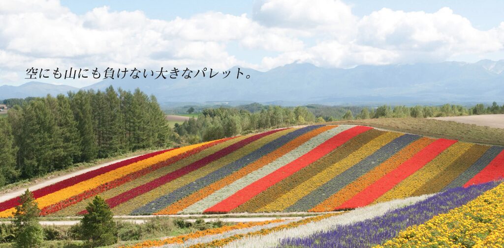 四季彩の丘(美瑛)|色鮮やかな花畑と美瑛の雄大な景色